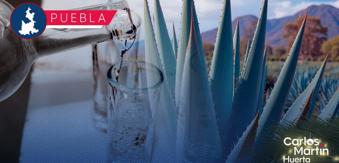 Puebla brilla en el México Selection 2025 con 35 preseas Puebla brilla en el México Selection 2025 con 35 preseas