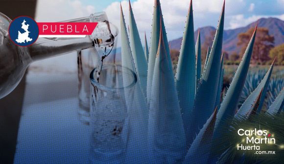 Puebla brilla en el México Selection 2025 con 35 preseas Puebla brilla en el México Selection 2025 con 35 preseas