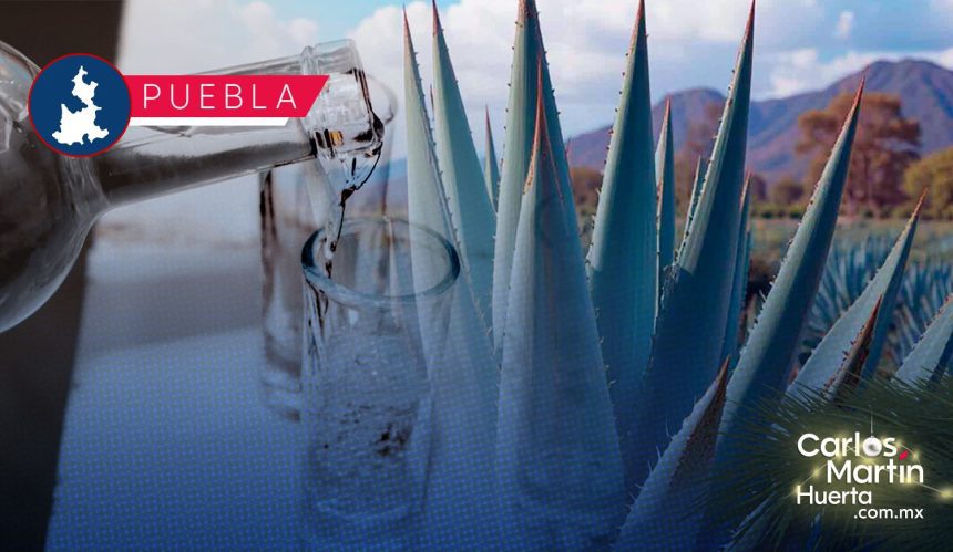 Puebla brilla en el México Selection 2025 con 35 preseas