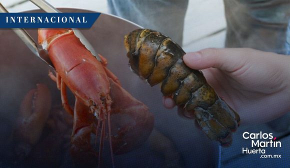 Reino Unido prohibirá hervir langostas y otros mariscos vivos