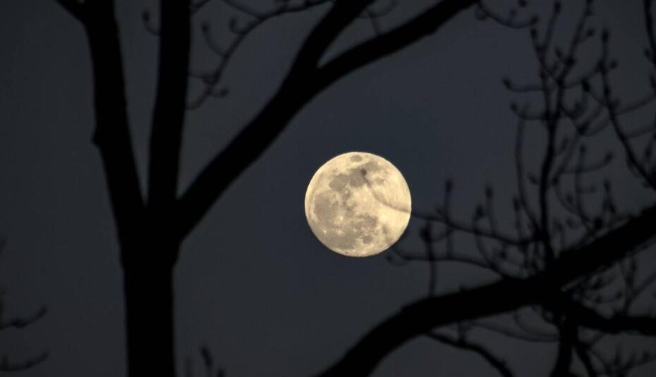 Superluna de Lobo 2026 ¿Cuando se podra ver este fenomeno astronomico 3