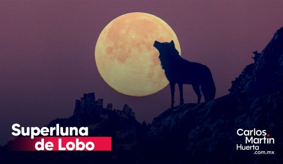 Superluna de Lobo 2026: ¿Cuándo se podrá ver este fenómeno astronómico?