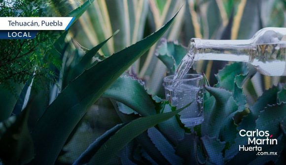Tehuacán alista su Festival del Mezcal 2025 Tehuacán alista su Festival del Mezcal 2025