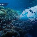 Utilizan robot guiado por IA para restaurar arrecifes de coral