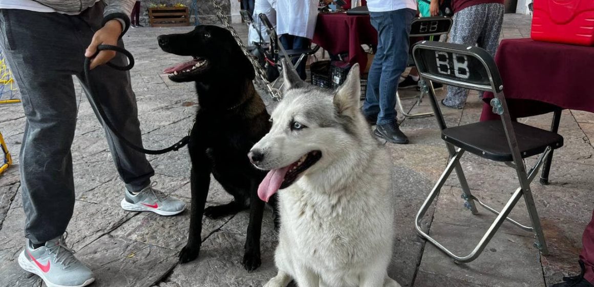 WhatsApp Image 2025-12-08 at 5.46.11 PM (2) Continúan impulsando servicios veterinarios gratuitos en Atlixco