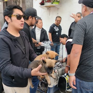 Inicia Gobierno de la Ciudad campaña para inhibir la venta de animales en vía pública