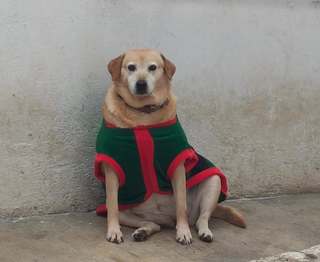 WhatsApp Image 2025 12 31 at 1.40.18 PM