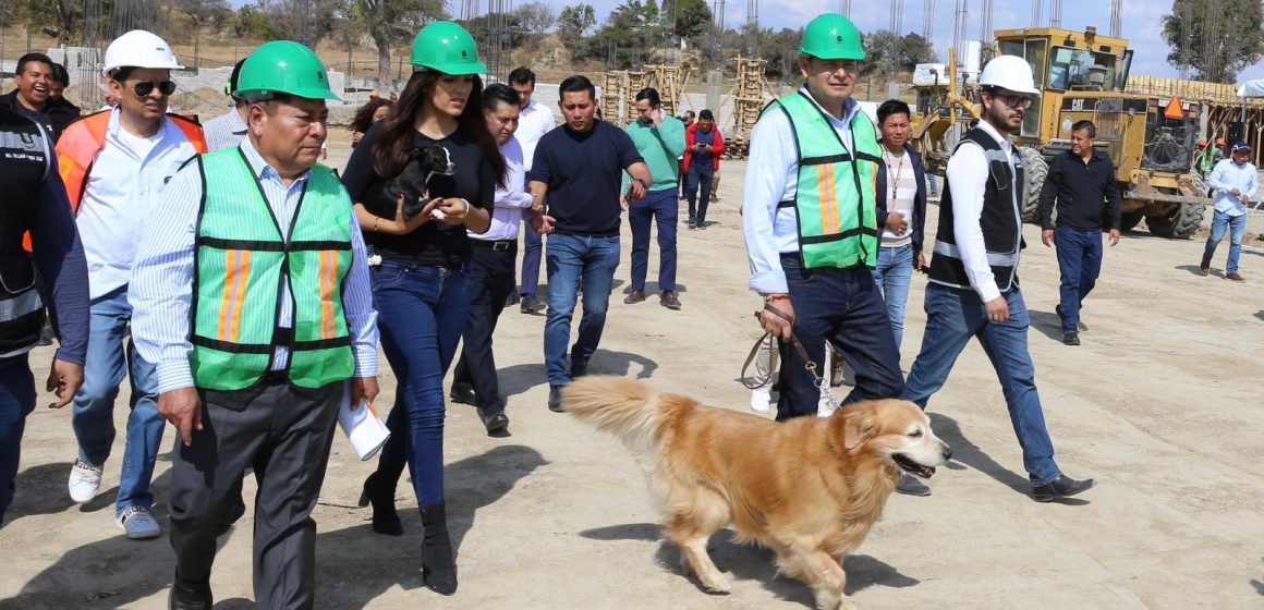 Armenta: “Un ser sintiente jamás debe Tratarse como producto”; Pide no comprar mascotas