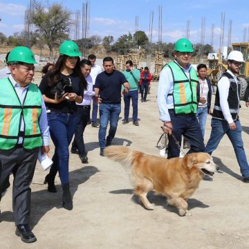 Armenta: “Un ser sintiente jamás debe Tratarse como producto”; Pide no comprar mascotas