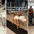 La coperacha navideña más tierna: Clientes compran peluche a un lomito callejero