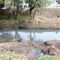 Inversión histórica de 2,755 mdp para rescatar el río Atoyac en Puebla