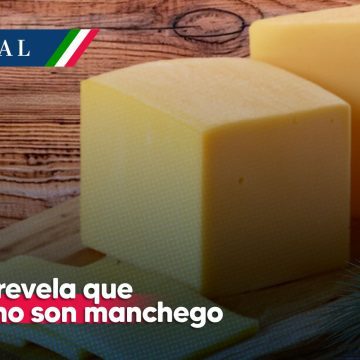 ¡Alerta! Profeco revela 5 marcas de queso que no son manchego