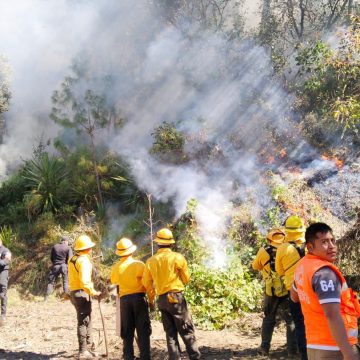Protección Civil sofoca incendio forestal en Chilchotla; reportan 10 hectáreas afectadas