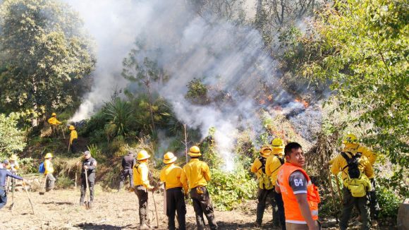 Protección Civil sofoca incendio forestal en Chilchotla; reportan 10 hectáreas afectadas