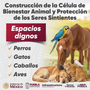 300 X 300 Mesa de trabajo 1