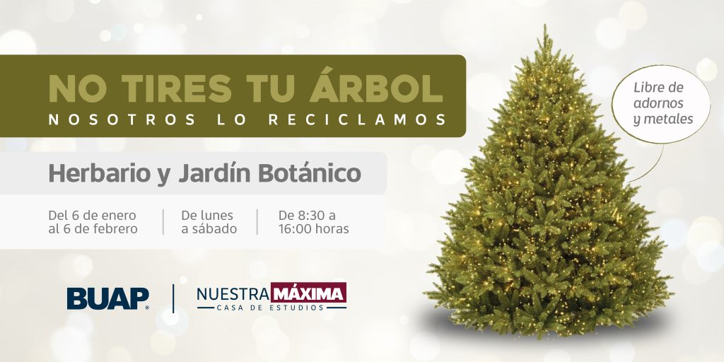 A Reciclado Arbol 0