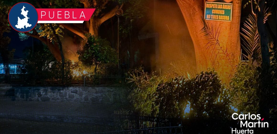 Bomberos mitigan incendio en parque cercano al Bulevar 5 de Mayo