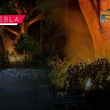 Bomberos mitigan incendio en parque cercano al Bulevar 5 de Mayo