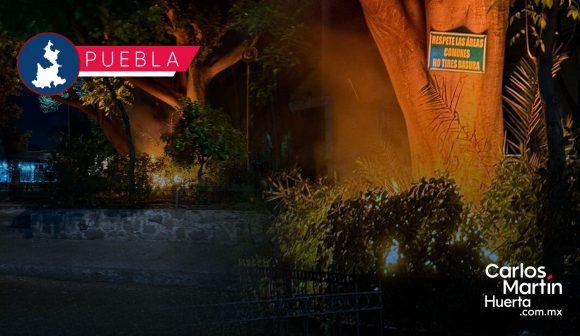 Bomberos mitigan incendio en parque cercano al Bulevar 5 de Mayo