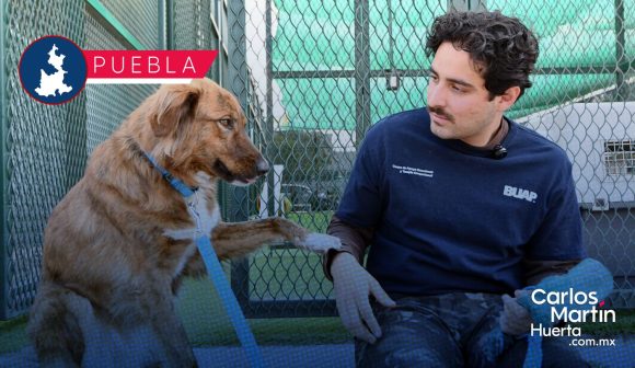 CAETO BUAP, un espacio que preserva el bienestar de sus coterapeutas caninos