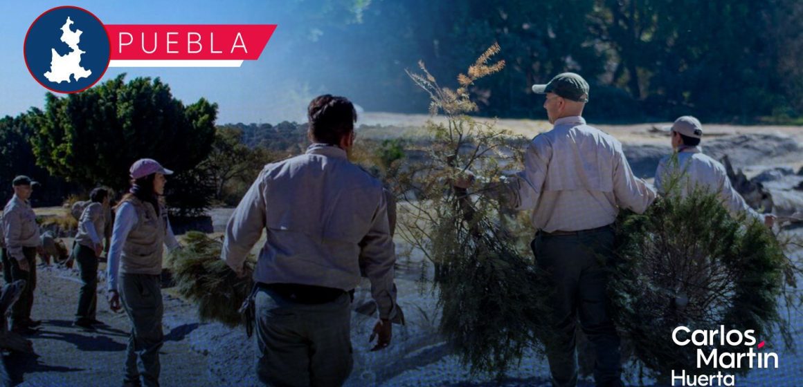 Campaña Verde Navidad 2026: Así puedes reciclar tu árbol navideño en Puebla