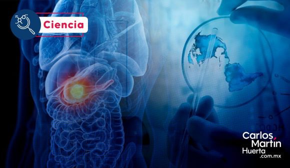 Cáncer de páncreas: Científicos españoles desarrollan terapia triple para evitar la resistencia tumoral