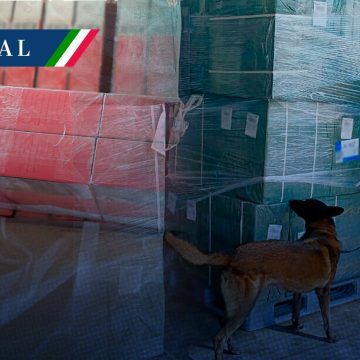 Aseguran casi 20 toneladas de tabaco ilegal en el AICM provenientes de Japón