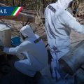 Desmantelan laboratorios clandestinos en Michoacán, Durango y Sinaloa
