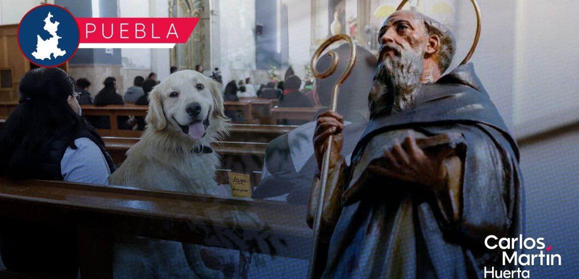 Día de San Antonio Abad: Parroquias para la bendición de mascotas en Puebla