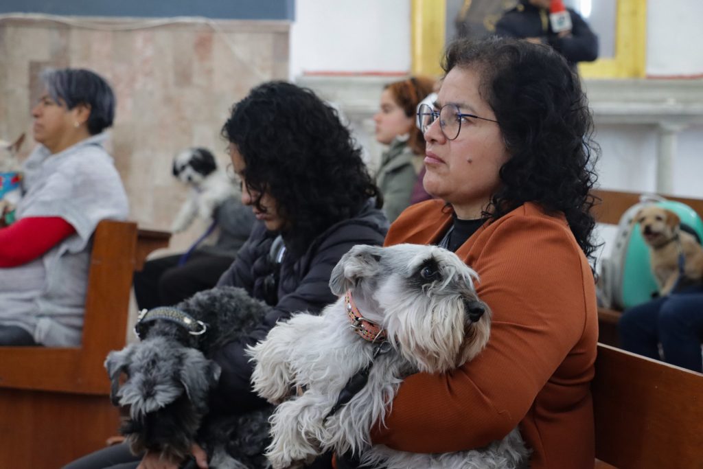 Día de San Antonio Abad: Parroquias para la bendición de mascotas en Puebla