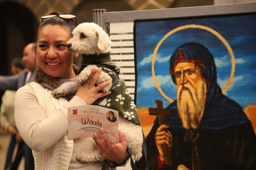 Dia de San Antonio Abad Parroquias para la bendicion de mascotas en Puebla 4