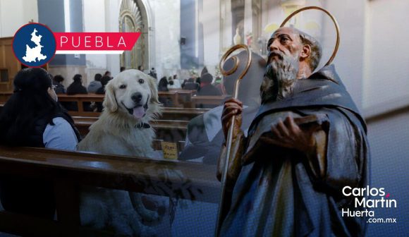 Día de San Antonio Abad: Parroquias para la bendición de mascotas en Puebla