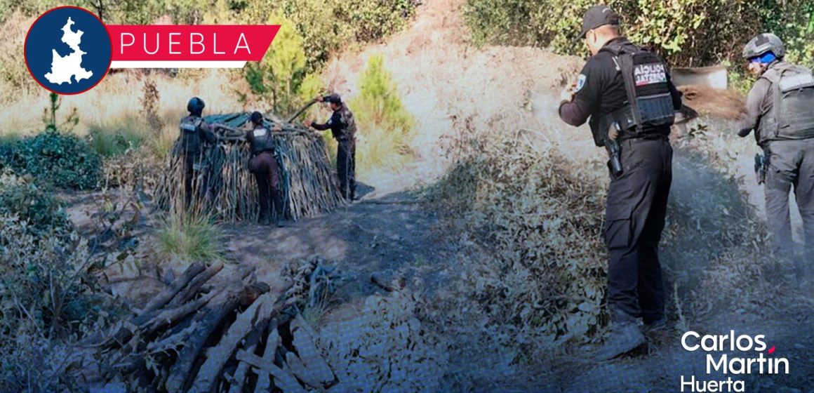 Elimina Policía Forestal seis hornos clandestinos para procesar madera