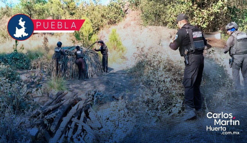 Elimina Policía Forestal seis hornos clandestinos para procesar madera