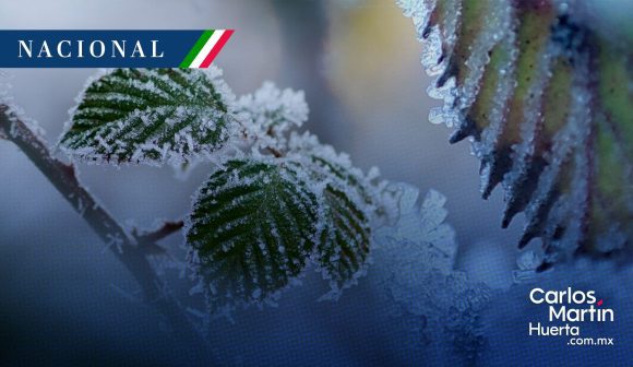 Clima: Heladas en 15 estados y chubascos por ingreso de humedad