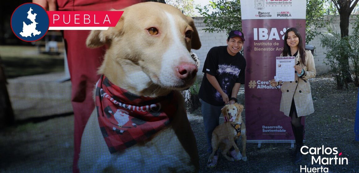 IBA fortalece la campaña “Adopta, No Compres”