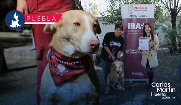 IBA fortalece la campaña “Adopta, No Compres”