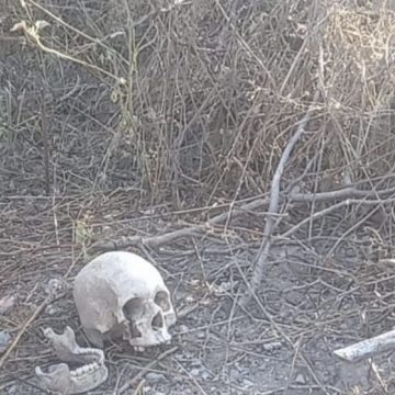 Hallan cráneo humano en la colonia Rincón de las Doncellas, Tehuacán