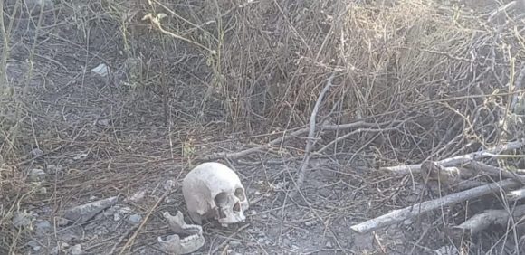 Hallan cráneo humano en la colonia Rincón de las Doncellas, Tehuacán