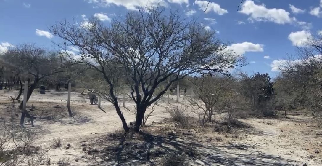 Hallan cuerpo con huellas de violencia en terrenos de Magdalena Cuayucatepec, Tehuacán