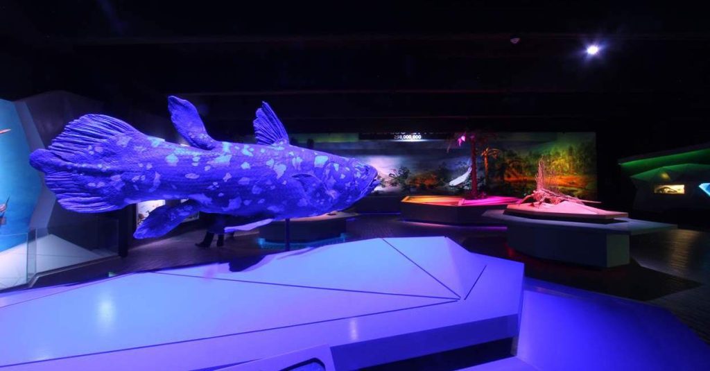 Museo de la Evolucion alberga mas de 600 piezas en su coleccion cientifica 3