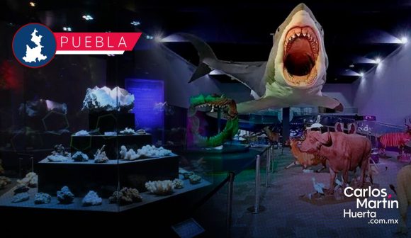 Museo de la Evolución alberga más de 600 piezas en su colección científica