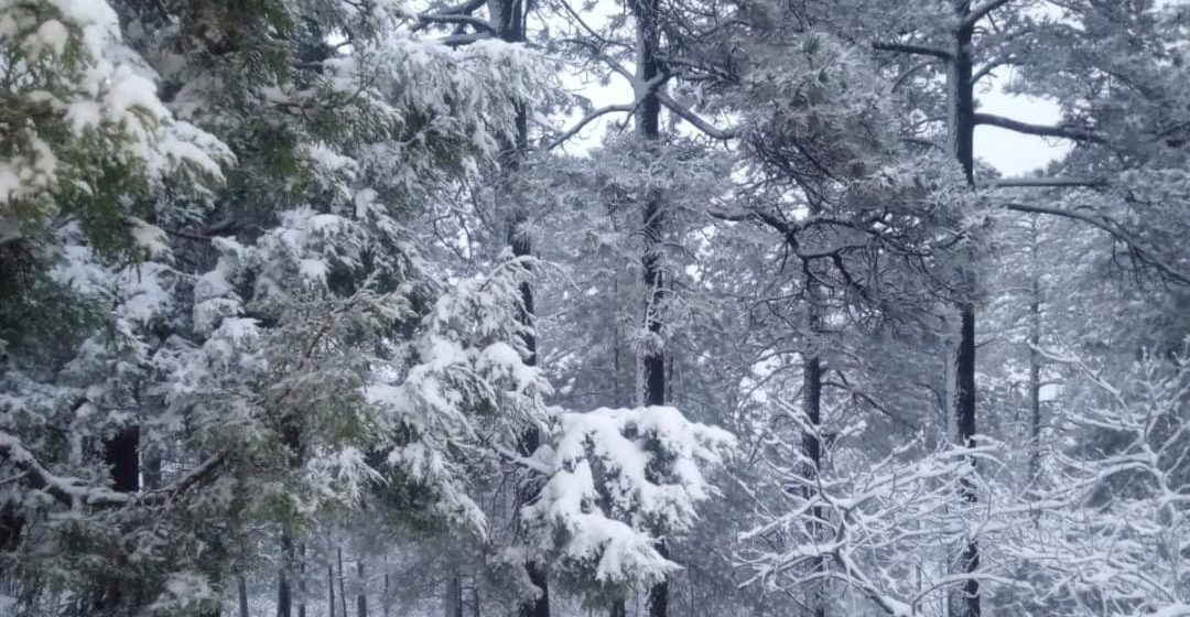 Fuertes nevadas en Chihuahua por la tercera tormenta invernal