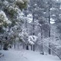 Fuertes nevadas en Chihuahua por la tercera tormenta invernal