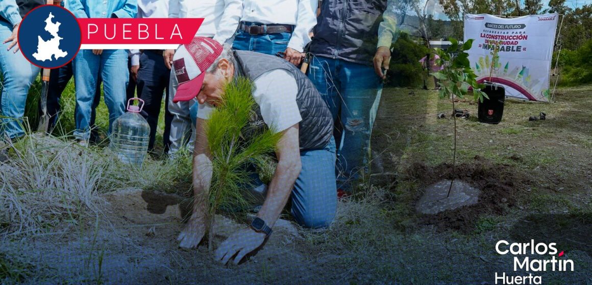 Puebla Capital anuncia meta ambiental con la plantación de 100 mil árboles para 2026