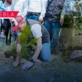 Puebla Capital anuncia meta ambiental con la plantación de 100 mil árboles para 2026