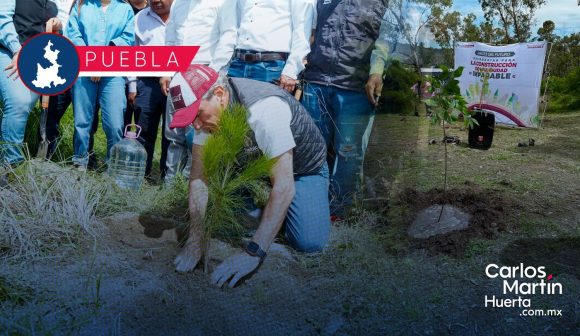 Puebla Capital anuncia meta ambiental con la plantación de 100 mil árboles para 2026