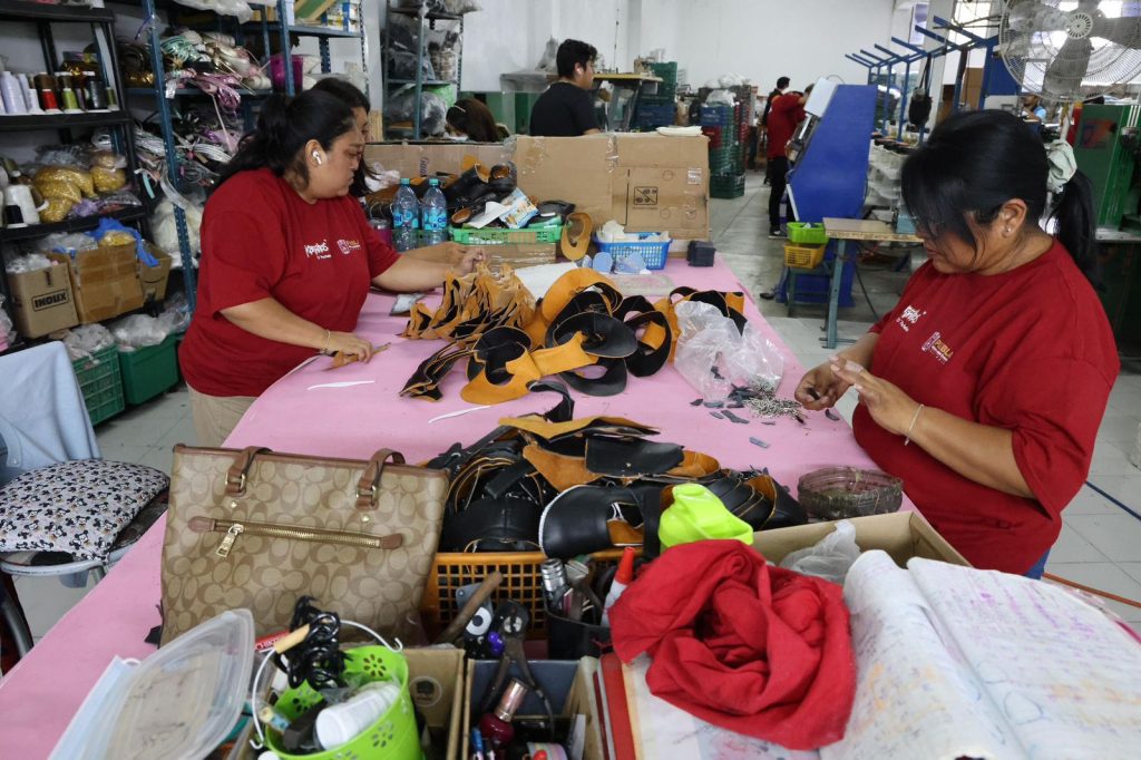 Puebla fortalece la industria del calzado con proyecto de procesamiento de piel 3