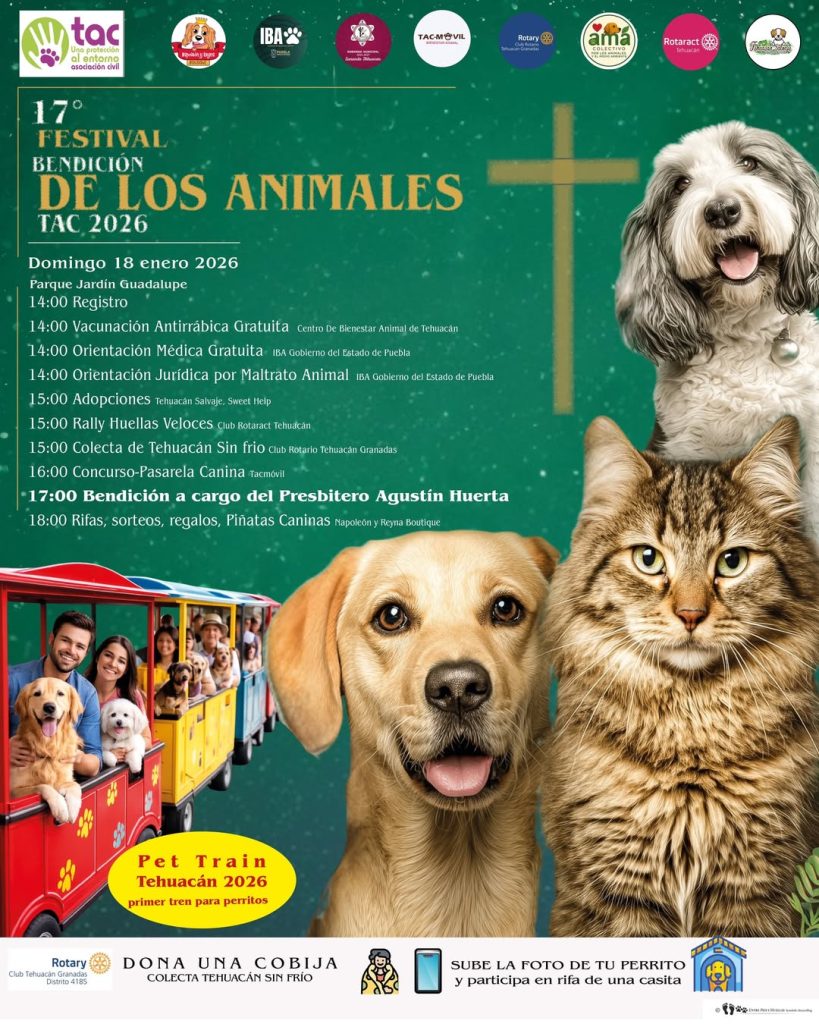 Tehuacán alista su 17° Festival Bendición de los Animales