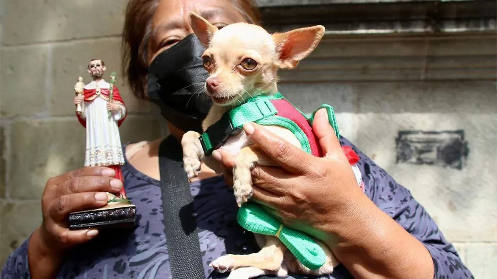 Tehuacan alista su 17° Festival Bendicion de los Animales 3